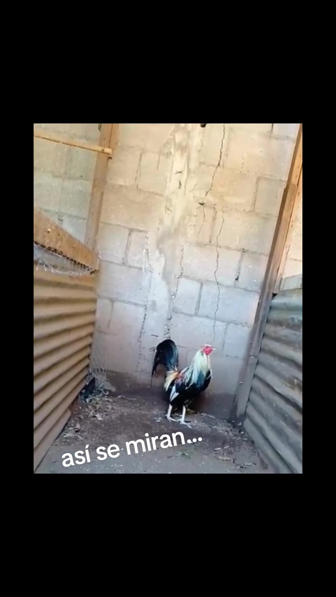@Edgar Lugo90