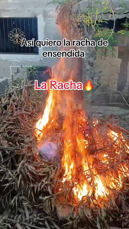 @Mily Aguirre🥺💖