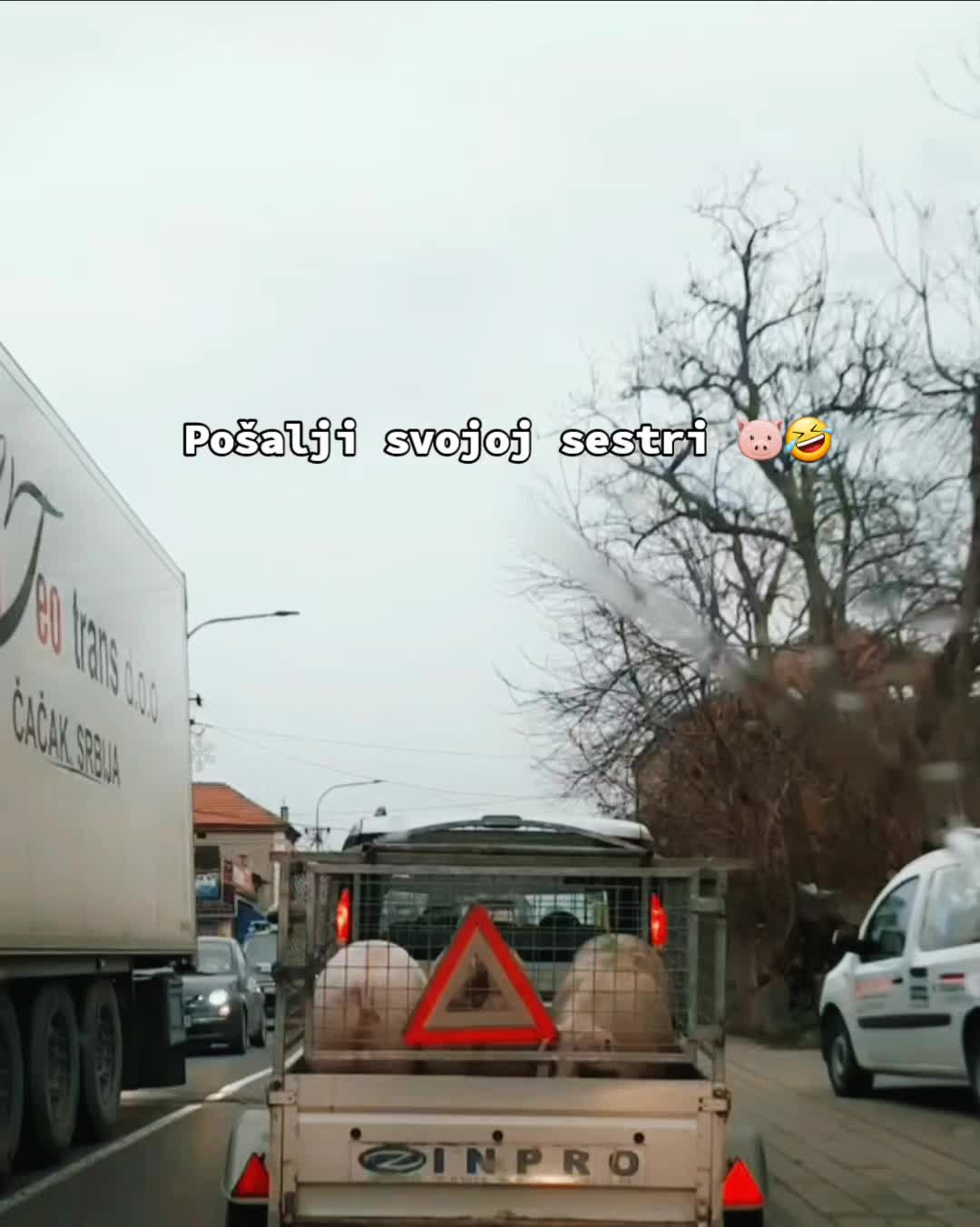 @Milica ✨️