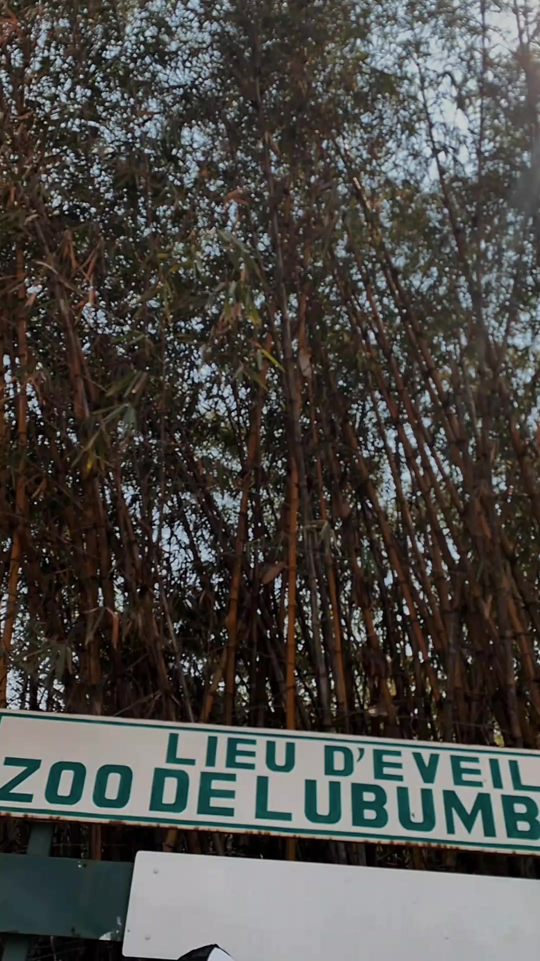 @mélo la✨ star 💸💯♥️👅