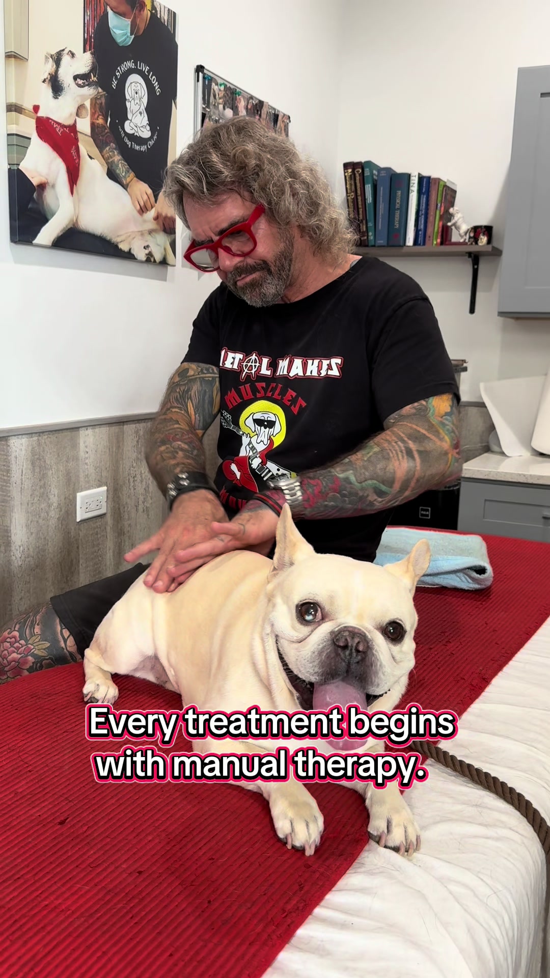 @ArfitDogRehabFitness