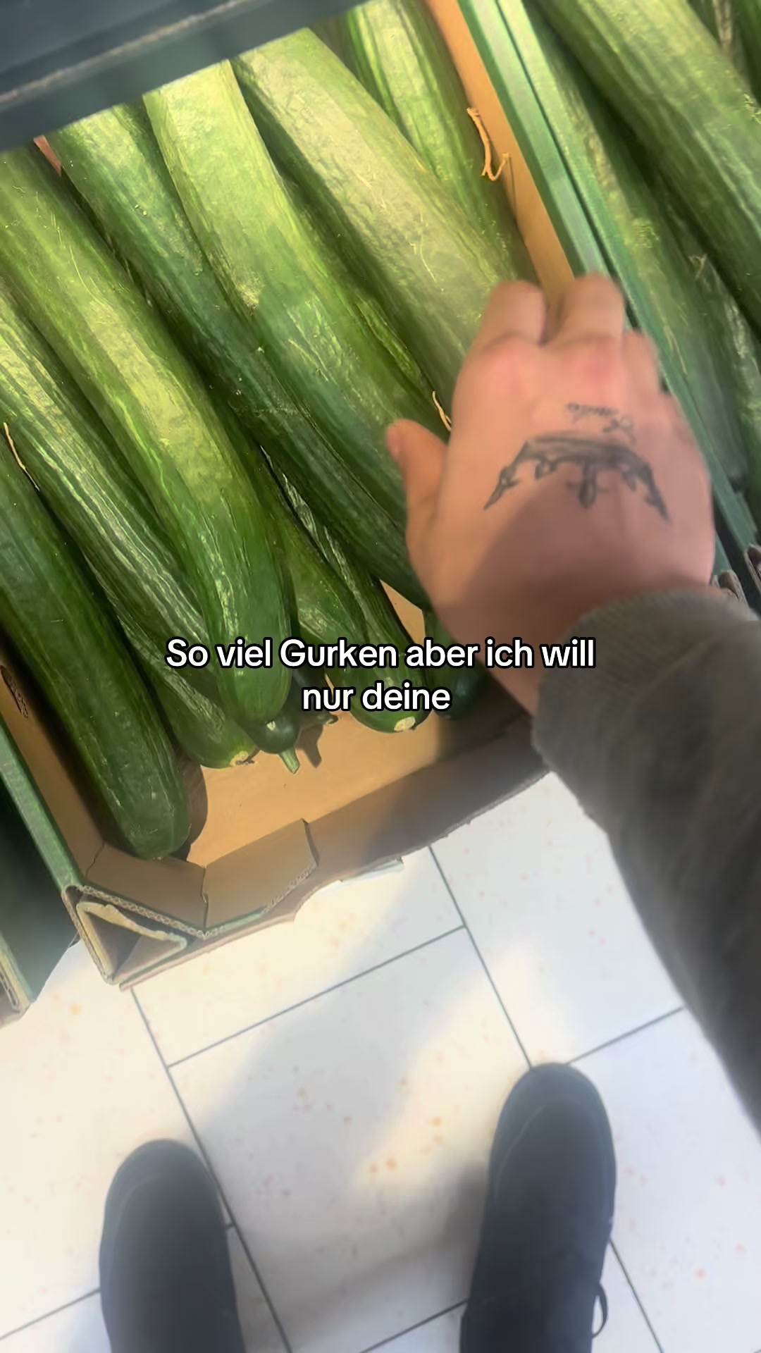 @Tyler.live
