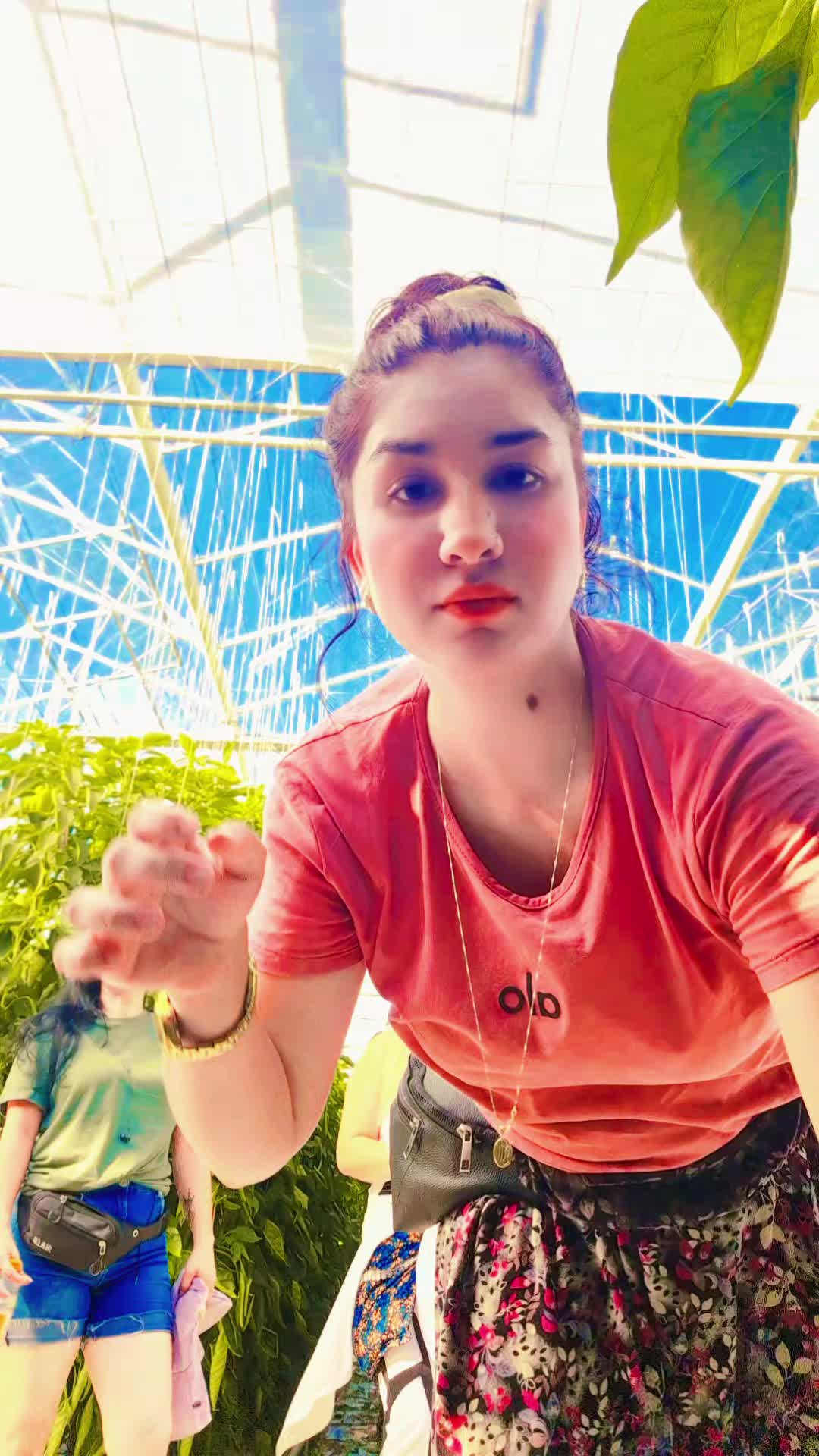 @🇬🇷🇳🇱✌️Sevda_Aliman🖤🤍♾️🦅