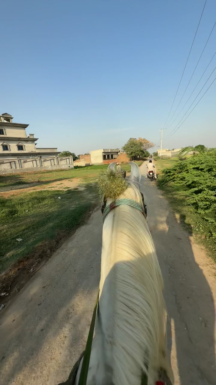 @ہارون گجّر کلیوال سیداں