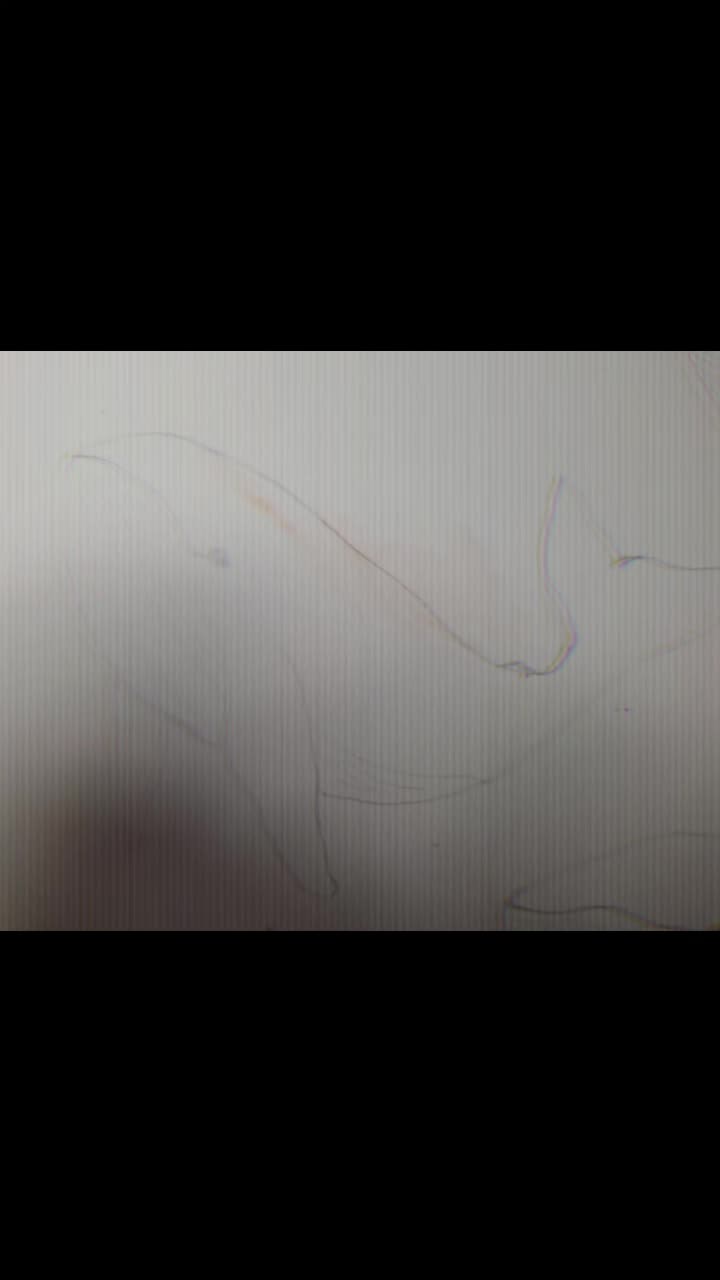 @brumsel916