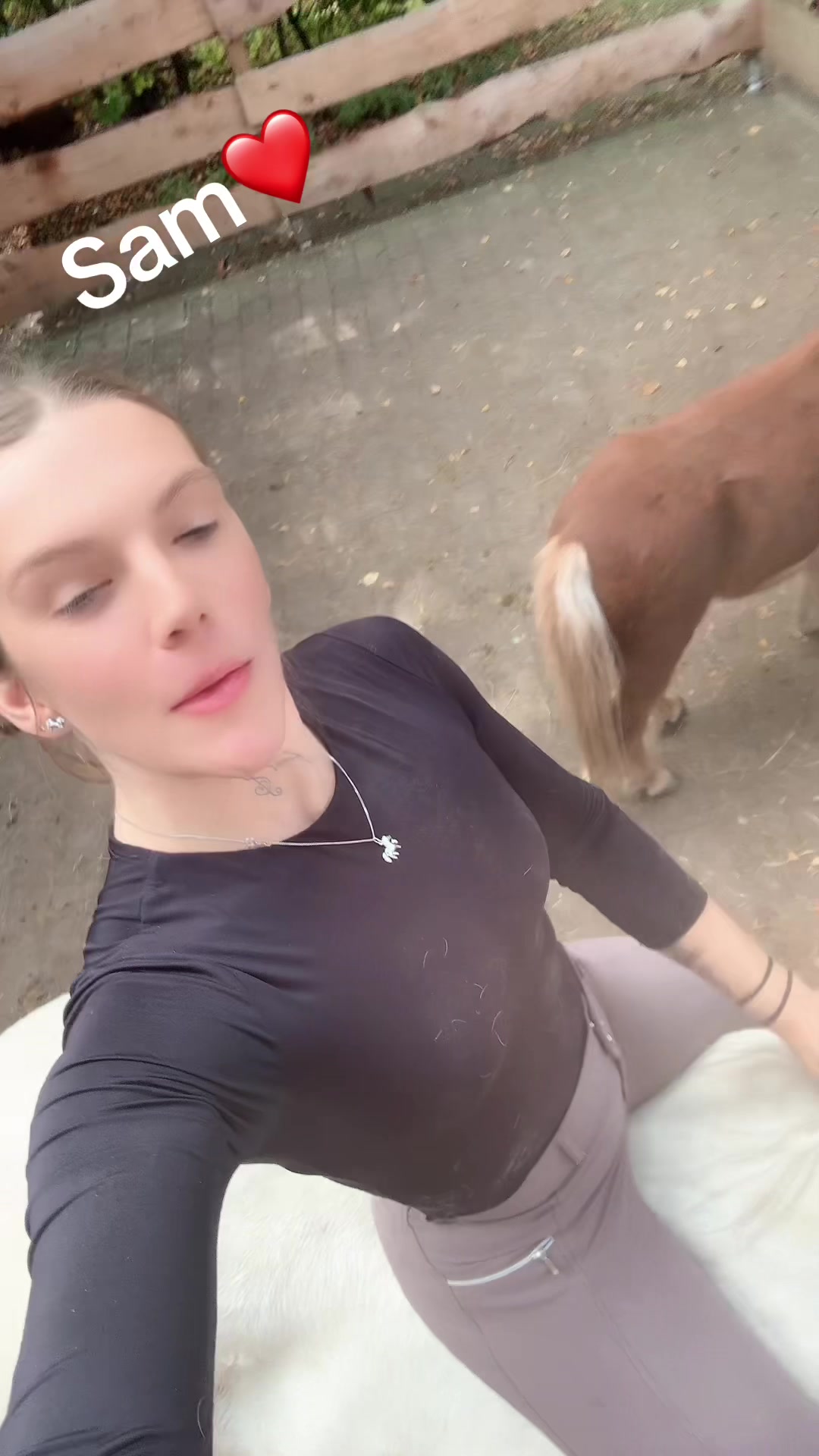 @HafiHorse2