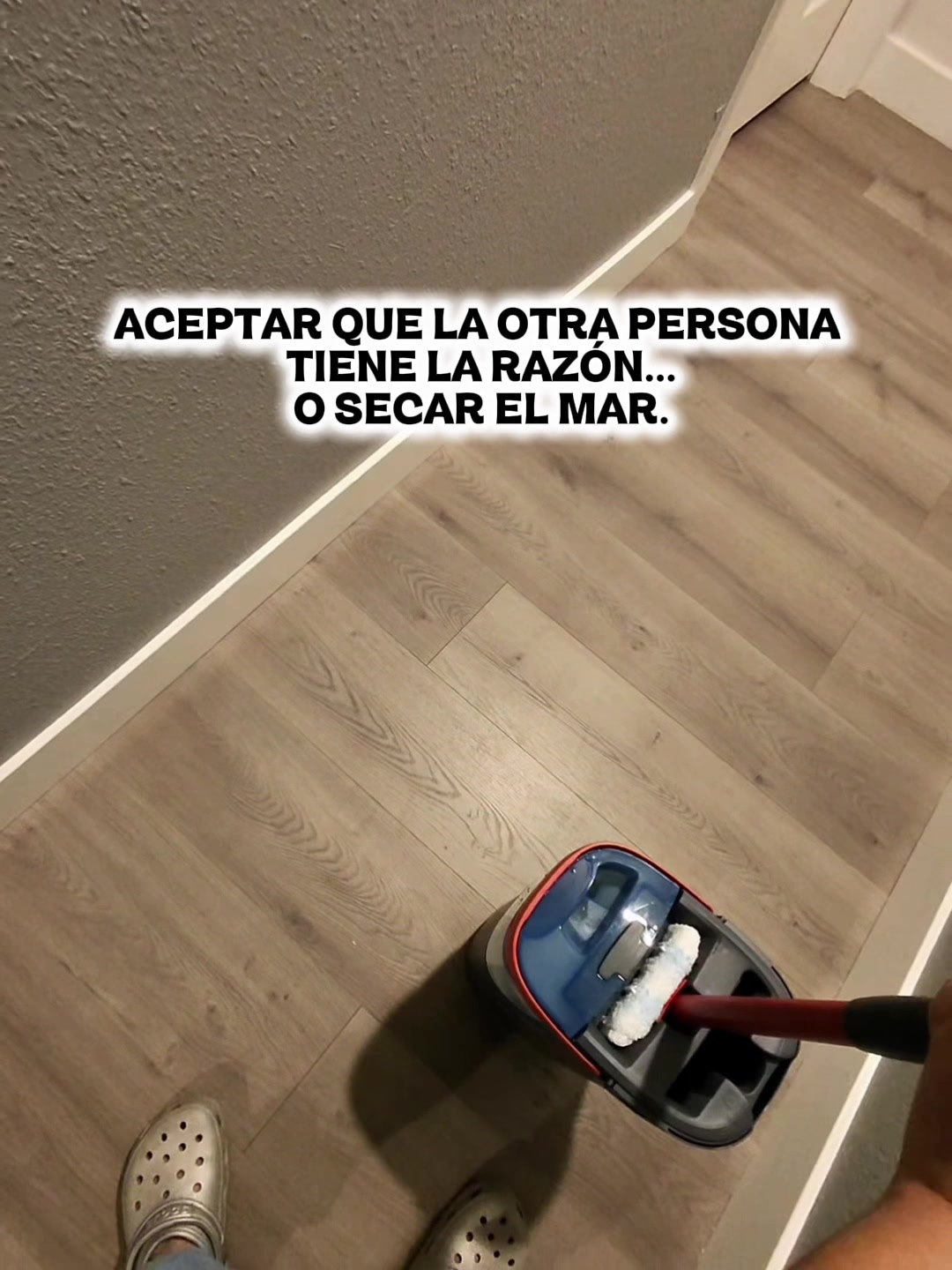 @palomina-