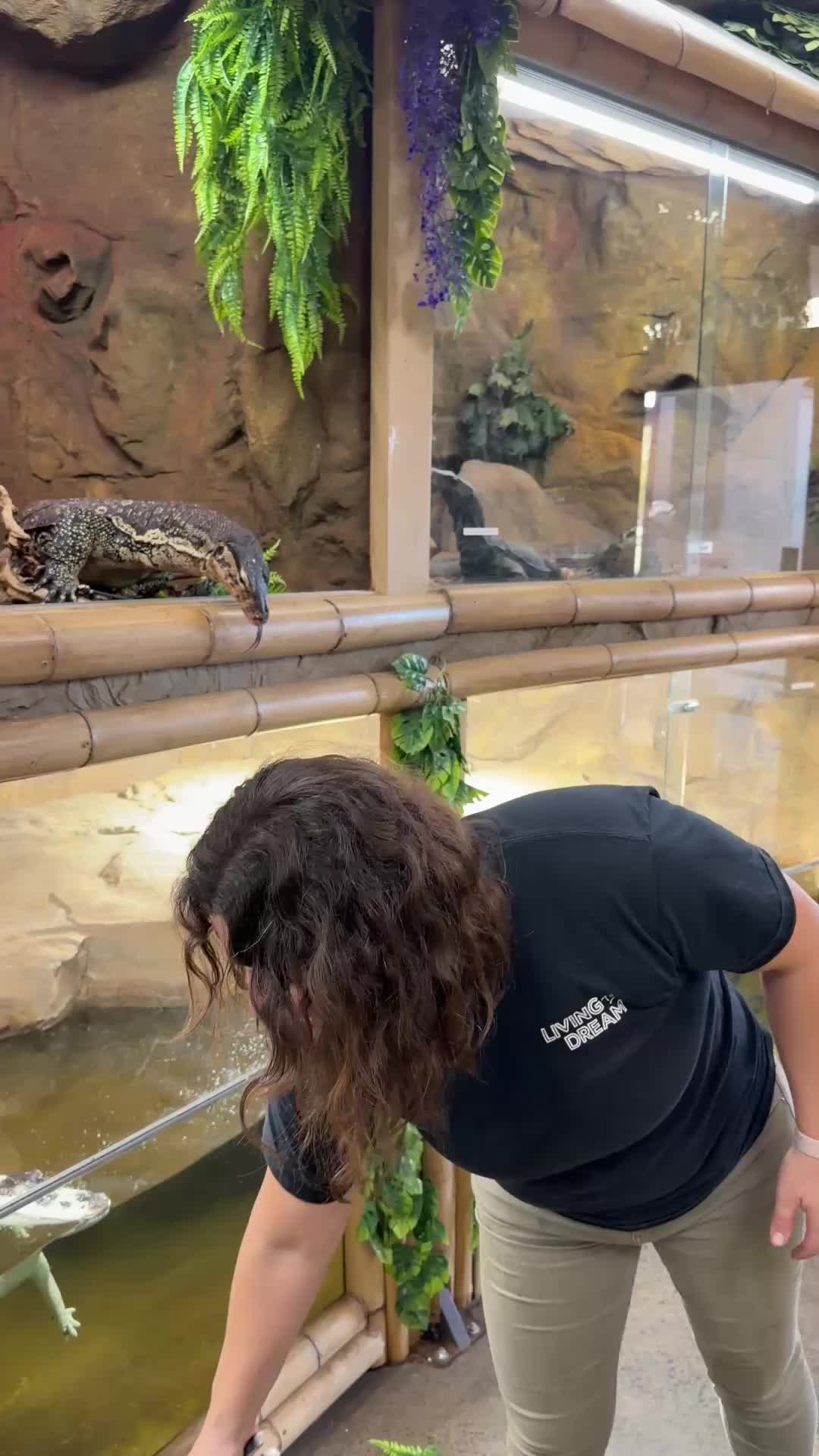 @The Reptile Zoo