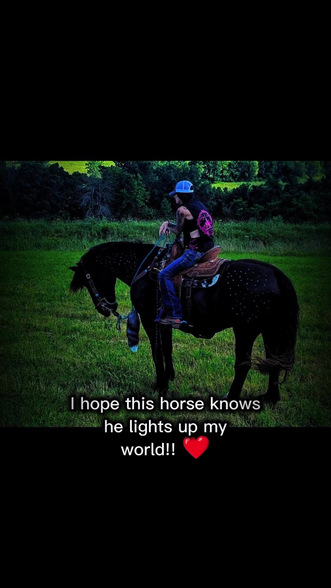 @RogueCowPonies