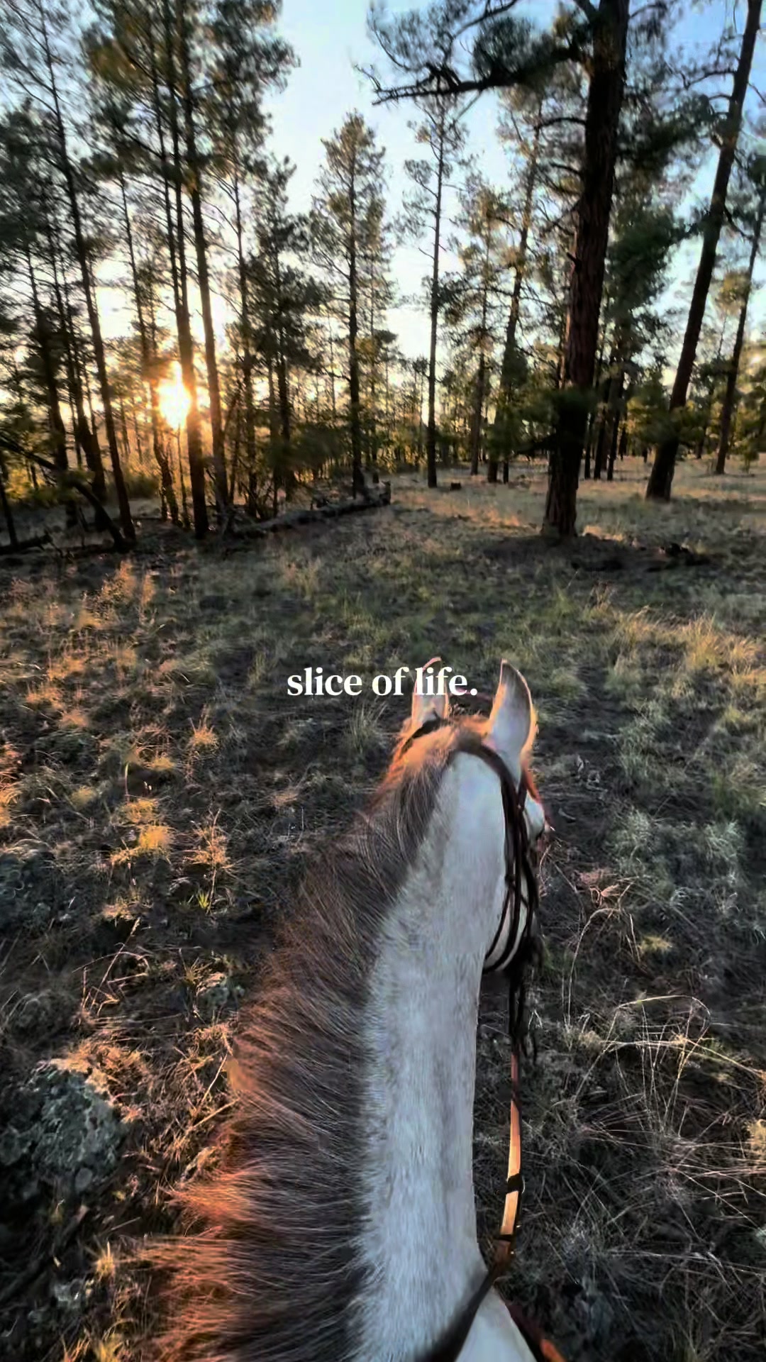 @Ridge Line Ranch