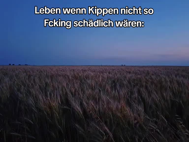 @Kania