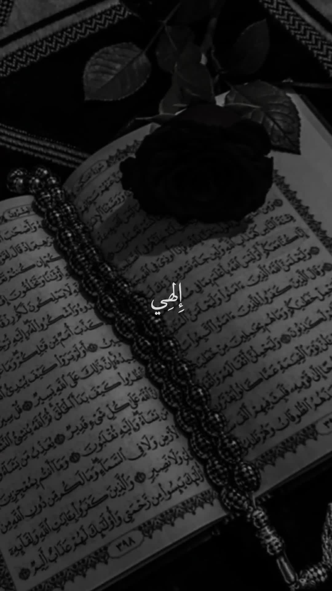 @قائد الغُرِّ المُحَجَّلين