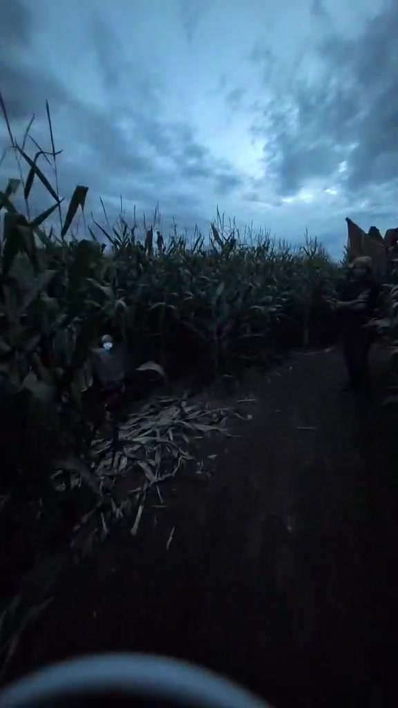@TerrorintheCorn CO