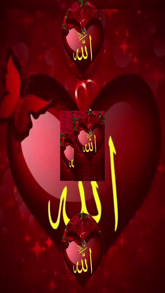 @Hina Malik