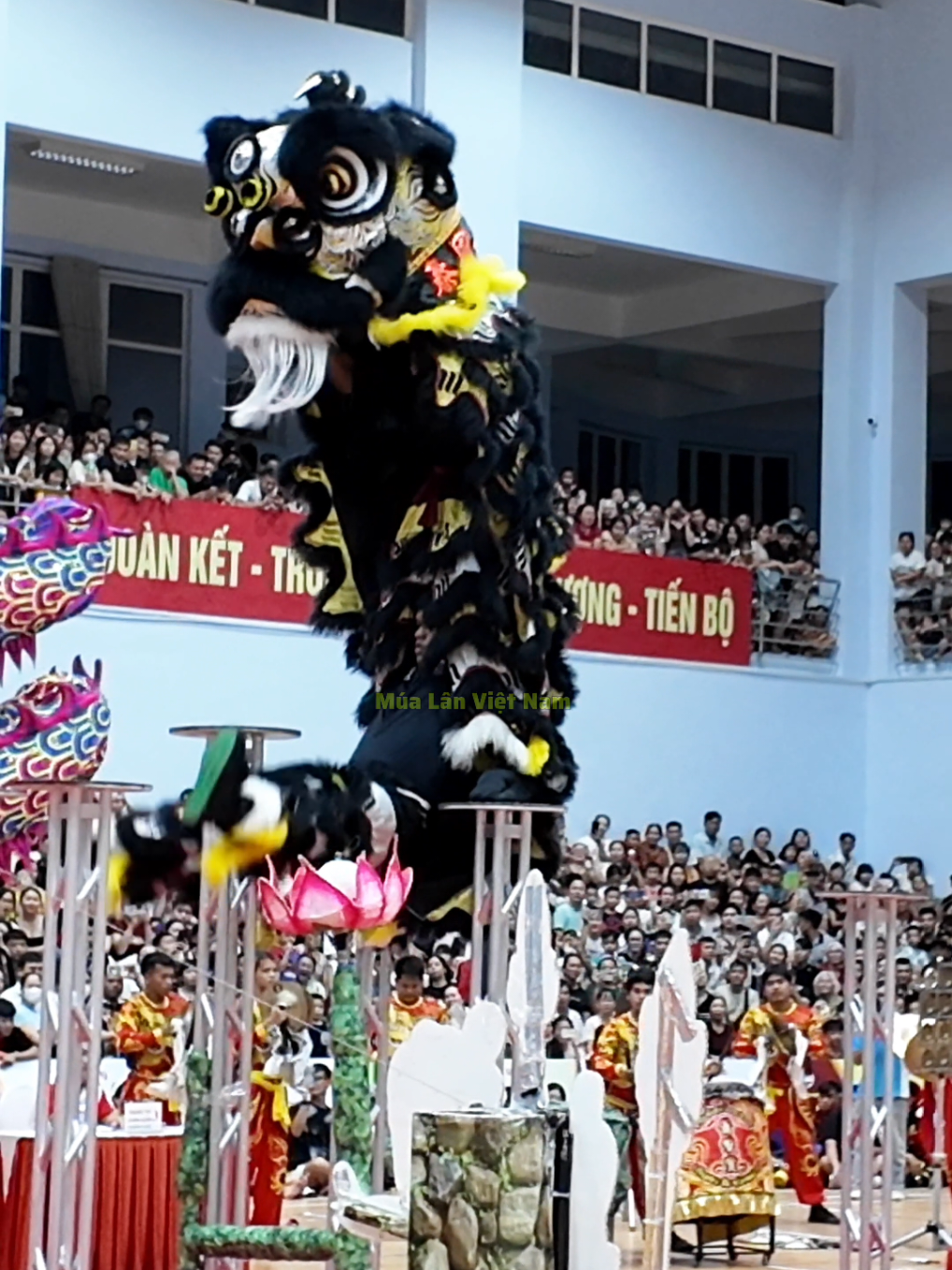 @M&uacute;a L&acirc;n Việt Nam 🇻🇳