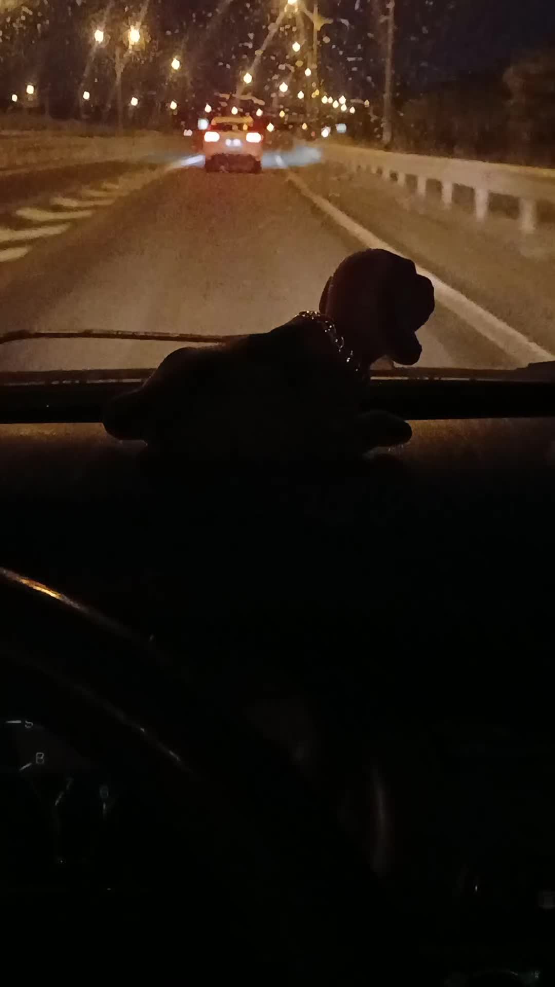 @Karadayi Karadayi