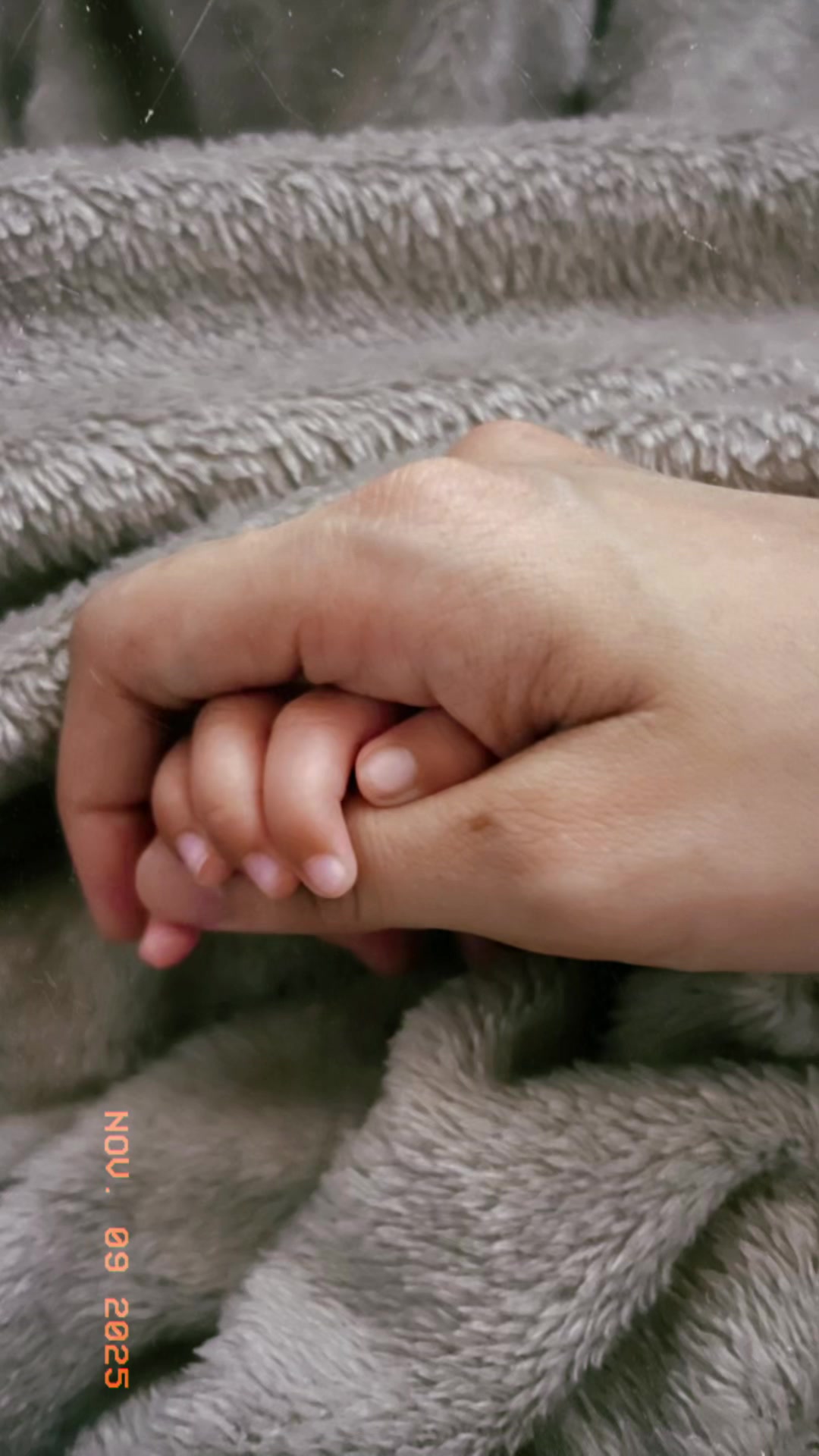 @jlarcena
