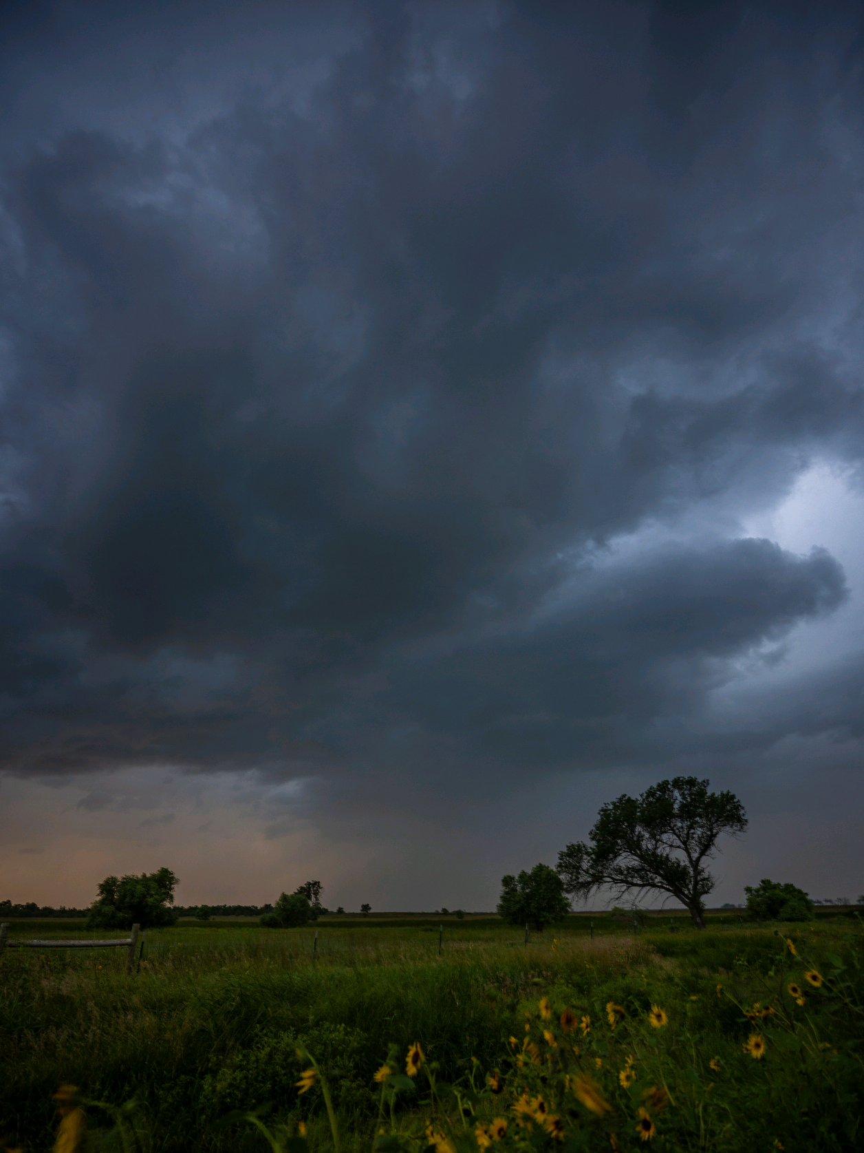 @Aaron Groen