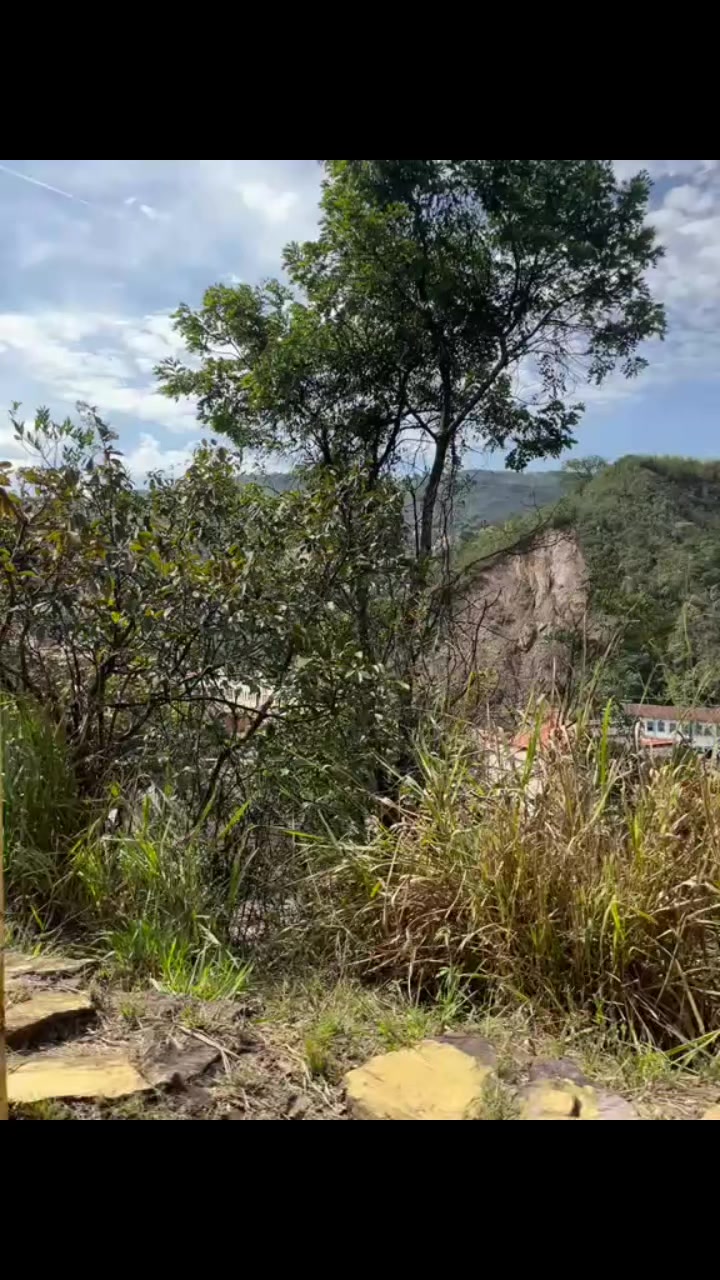@Livinha_1705