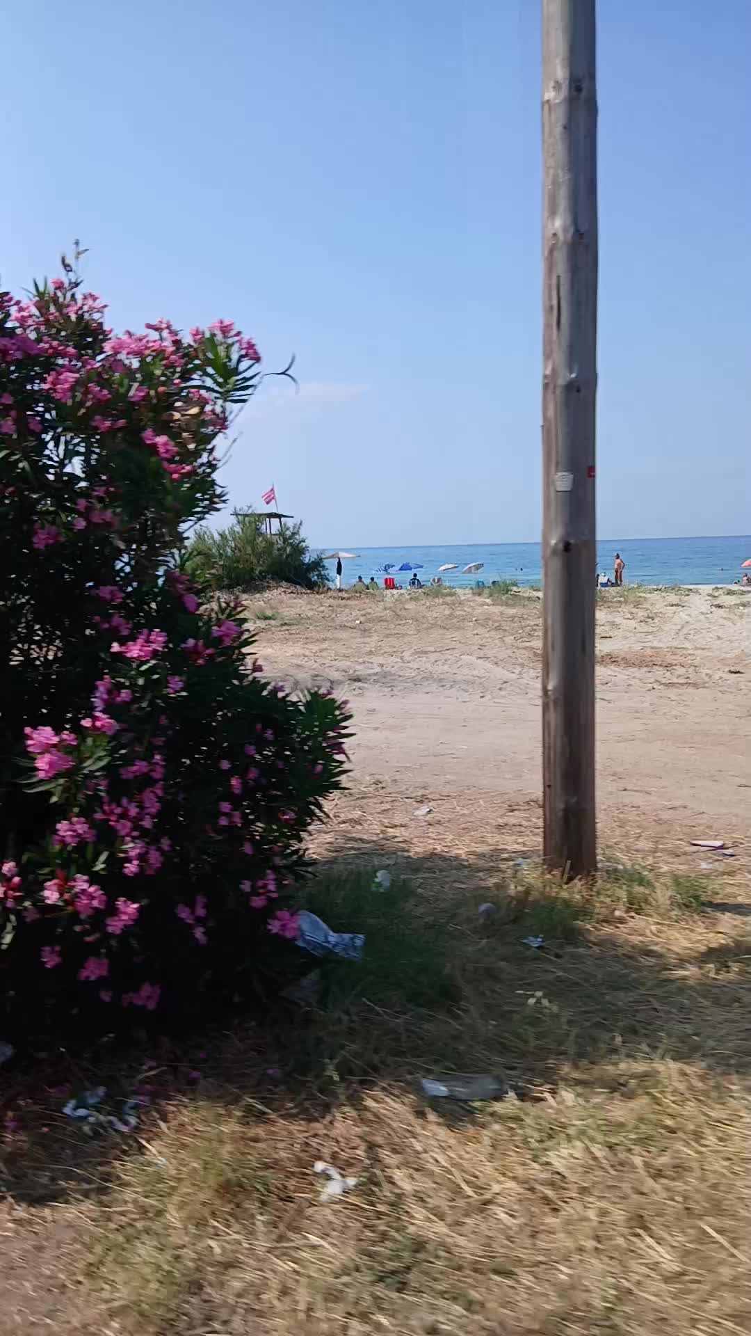 @Gülten