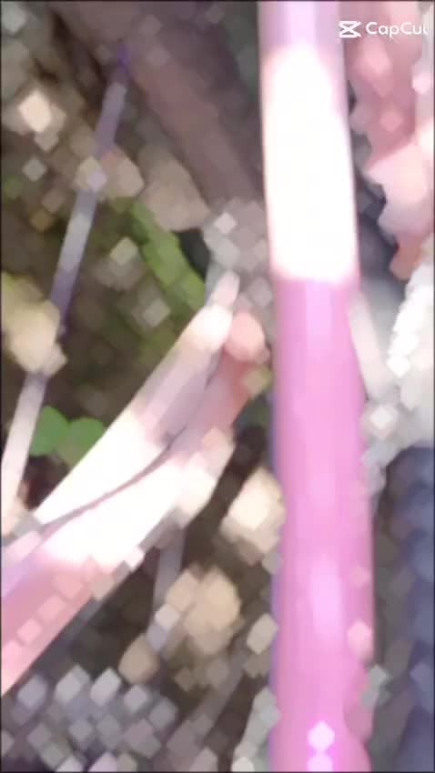@Finn_scm_wrn