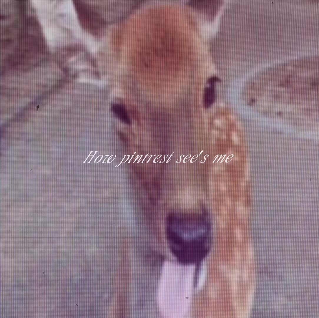 @dove.sleepy☆