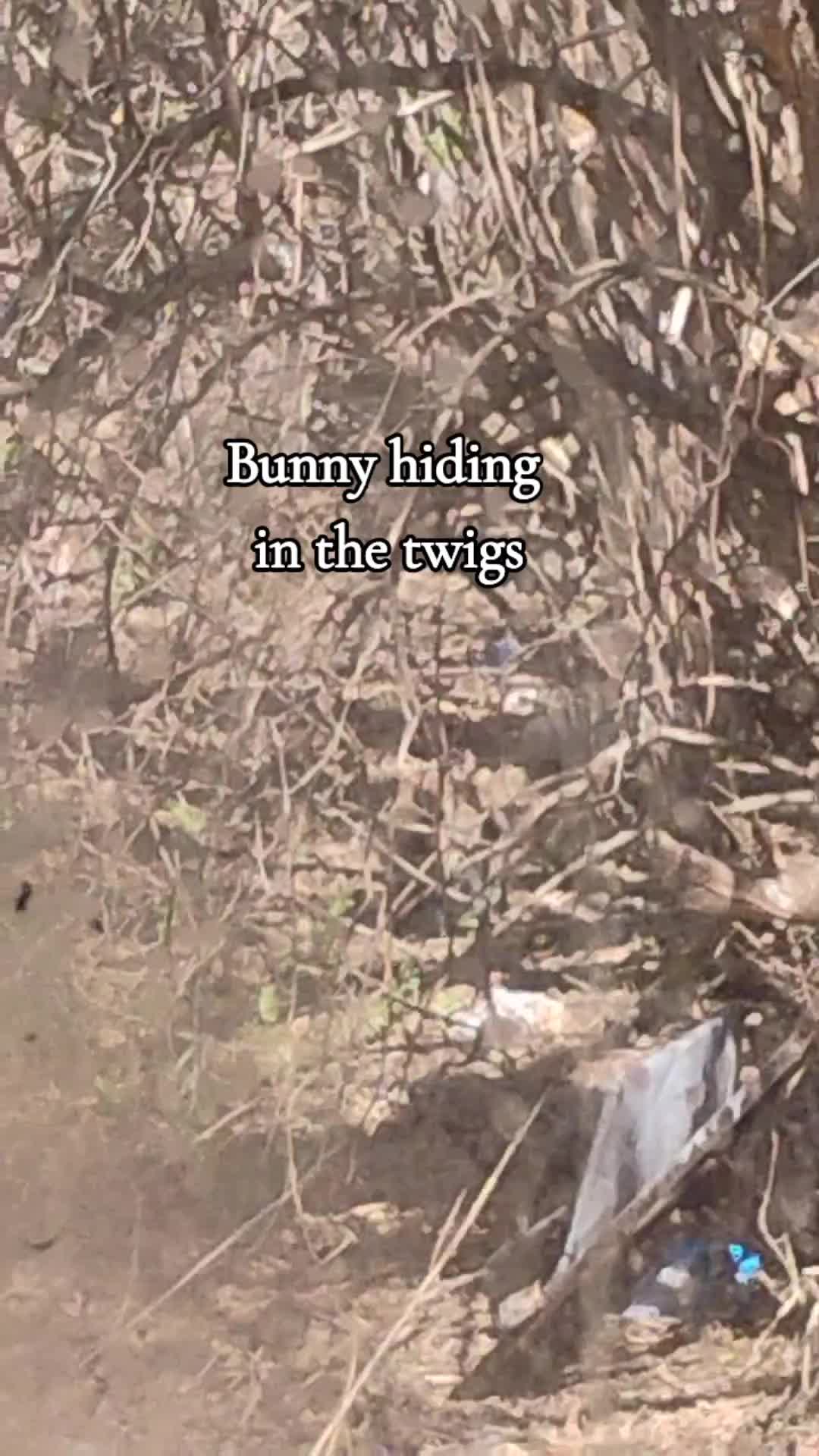 @Mommykins
