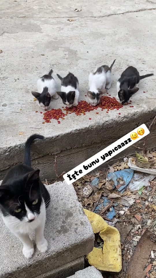 @Şapkalı Kadın