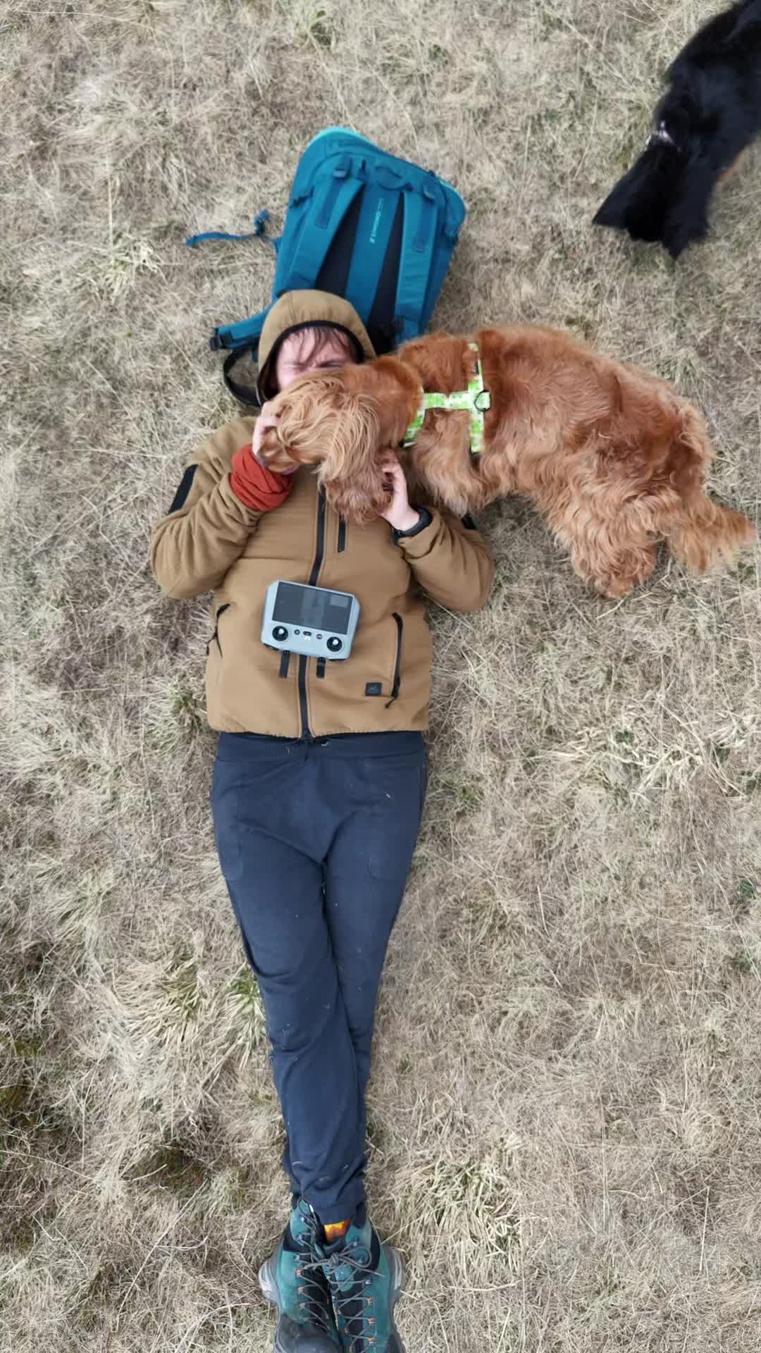 @Żabki w podr&oacute;ży 🐸 | VANLIFE