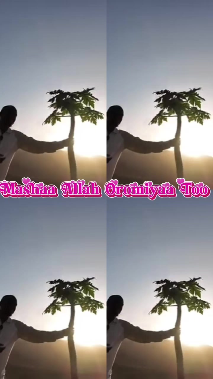 @Musliim💚❤💚