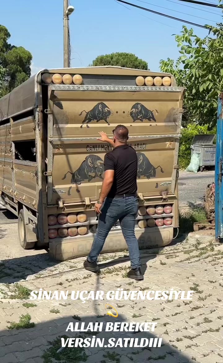 @CELEP SİNAN UÇAR