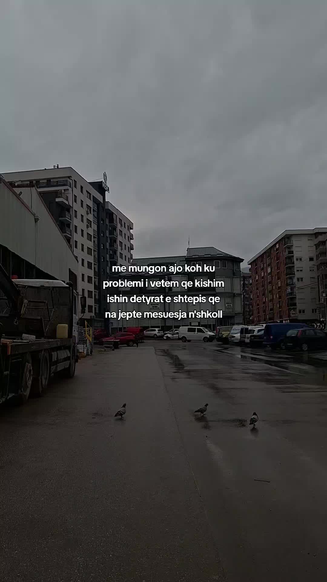 @ermaaly