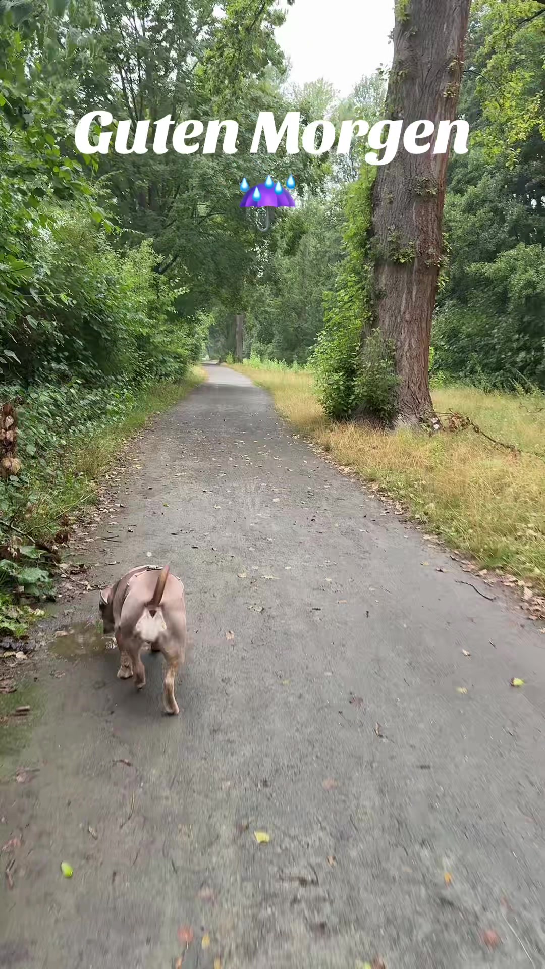 @Milly 🐶🥰
