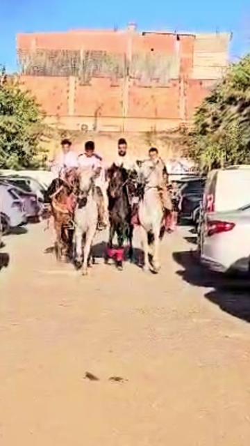 @islammezbache dz