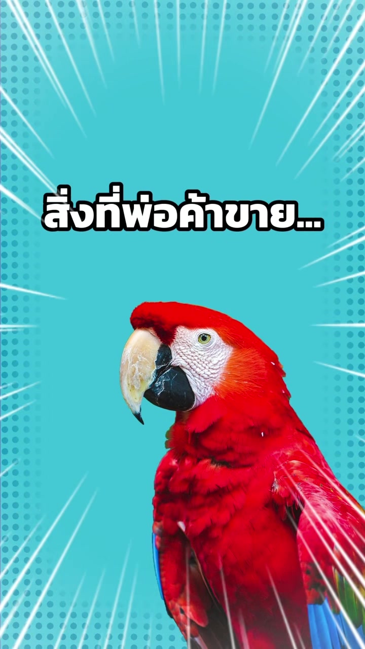 @WelovepetsbyPamornchaiSupply