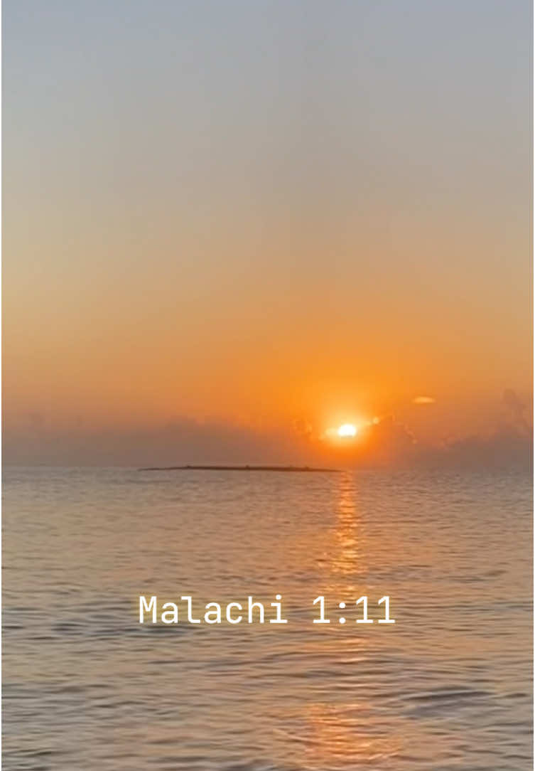 @lighthouse.of.life