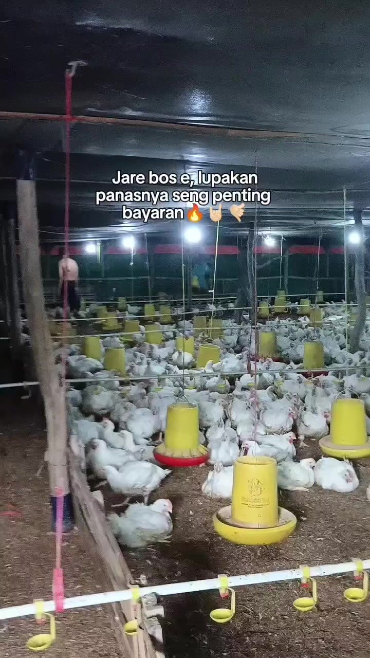@ABK_32