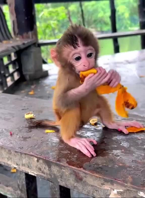 @Bindu Chaudhary485🇳🇵🇳🇵🇳🇵