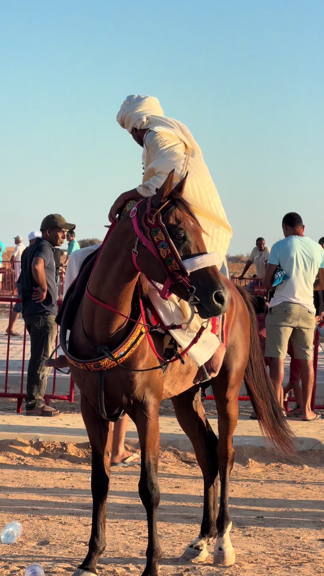@activitesdjerba216