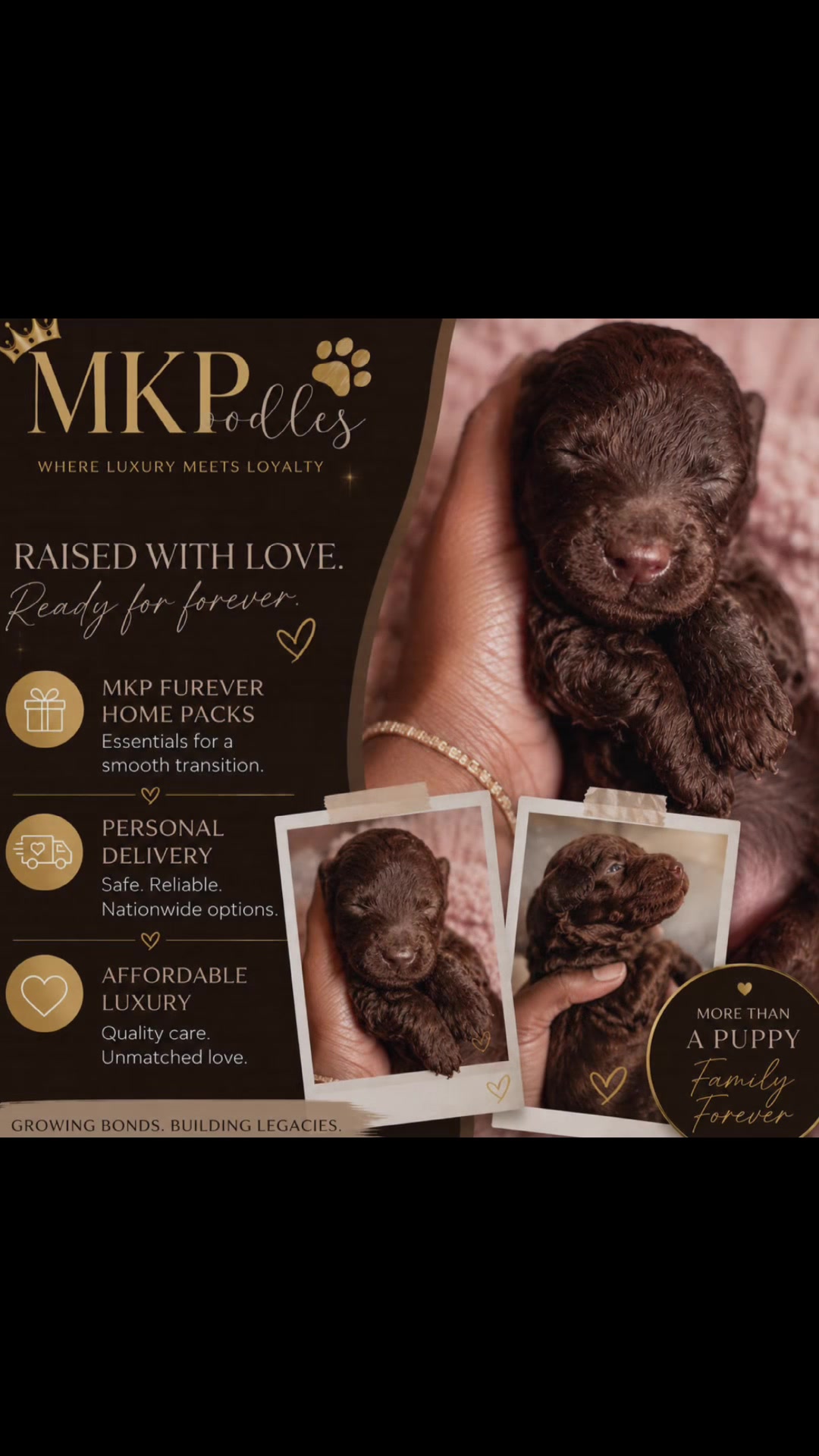 @MKPoodles