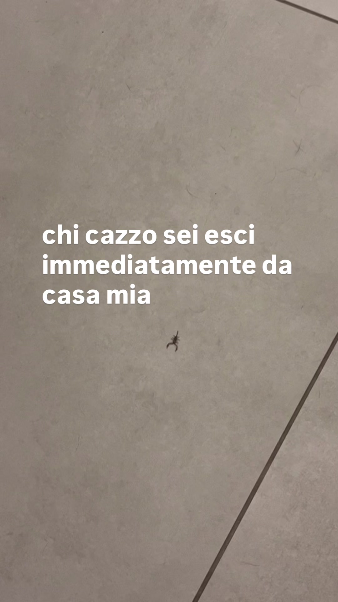 @margherita