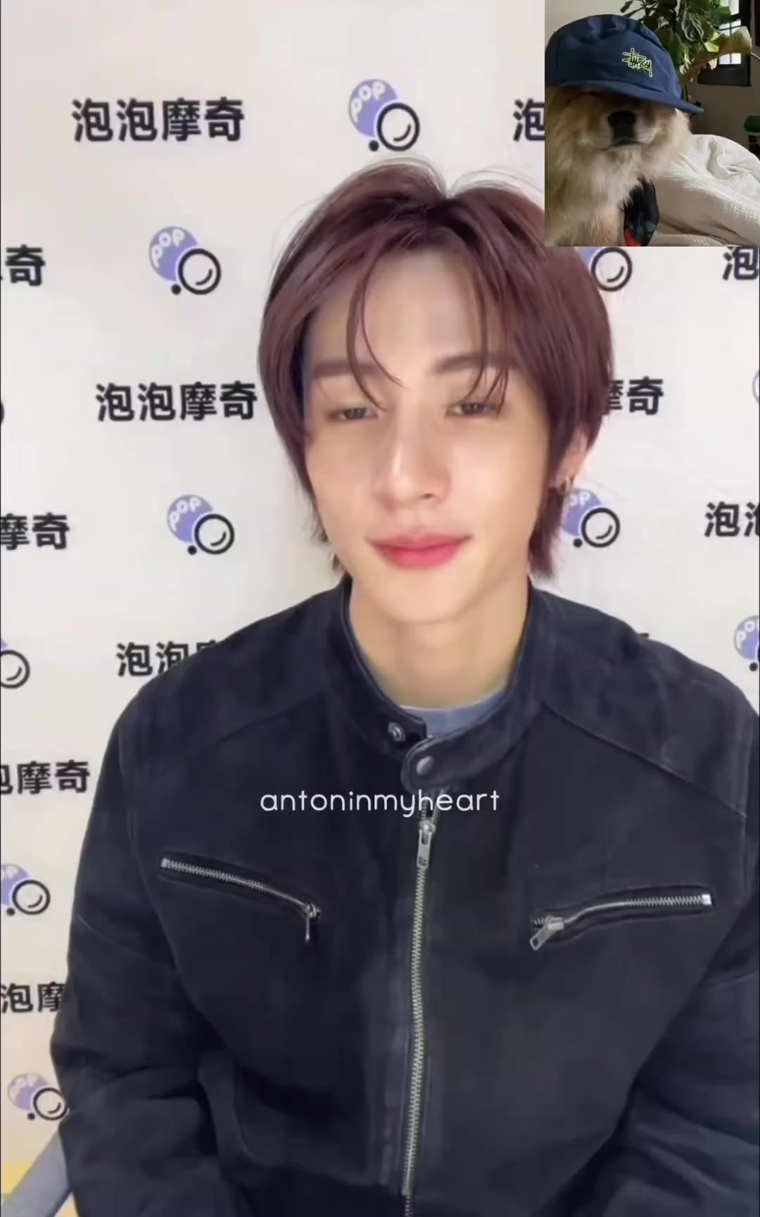 @โ.๐ปเฟ*:๐๏ฝฅโ