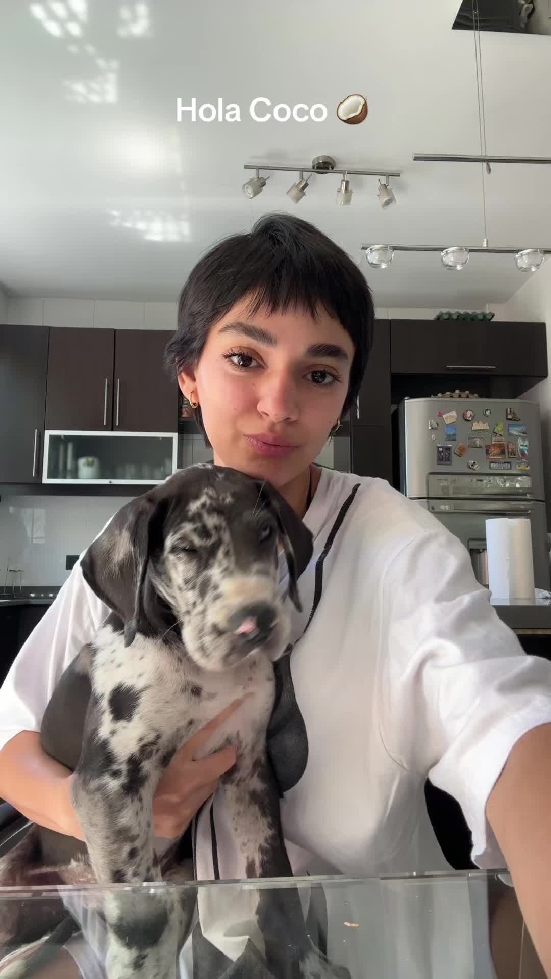 @Agustina Gechidjian