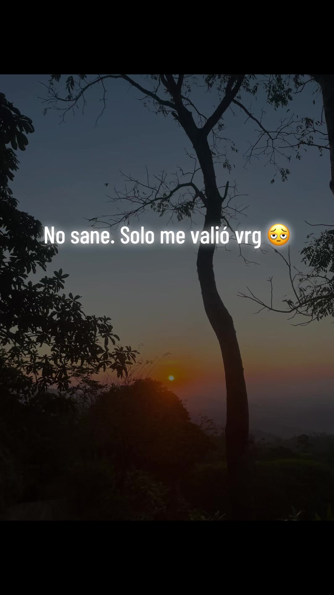 @V£RøNiC@ 🇭🇳🦁🍒