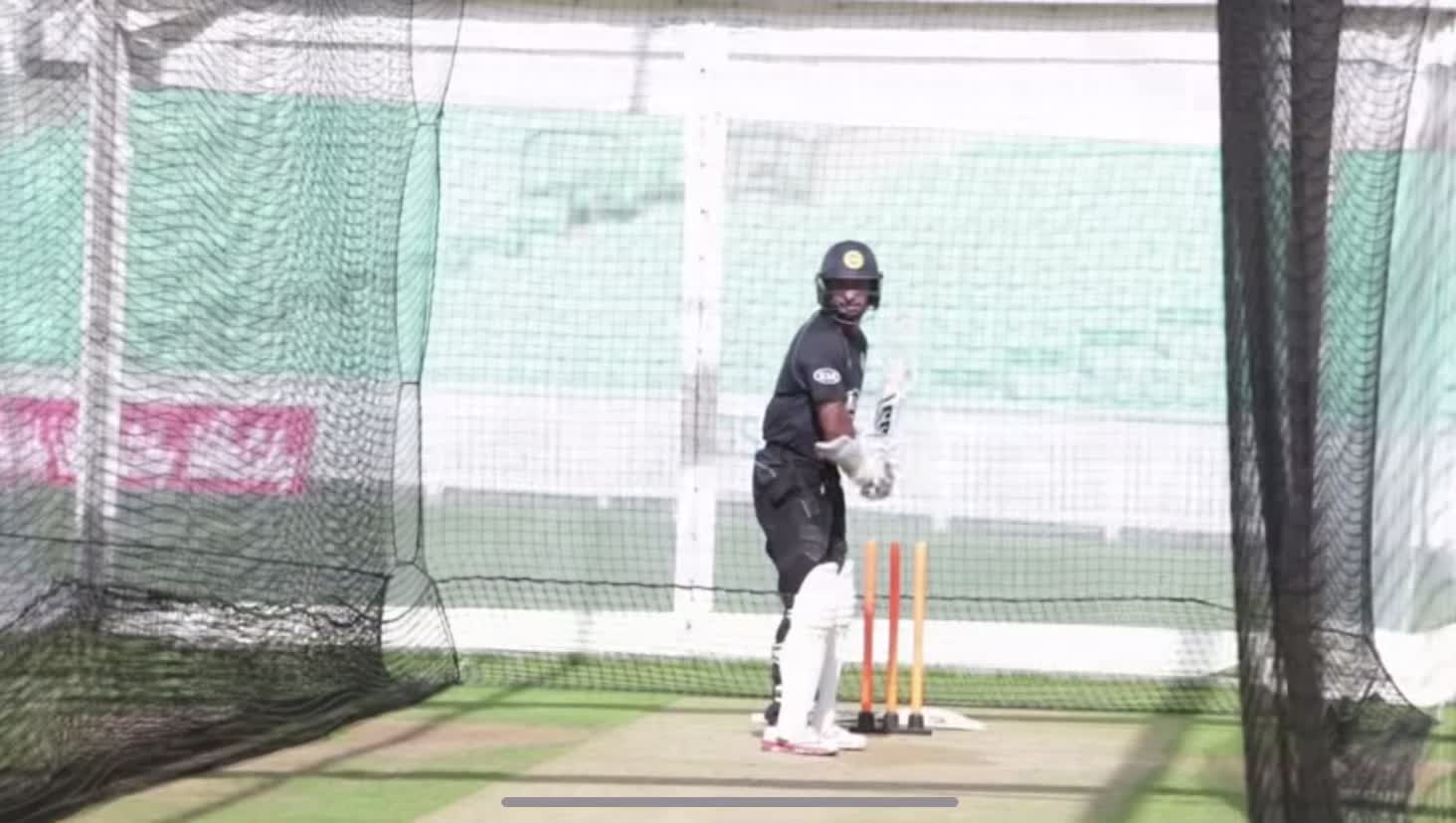 @cricket