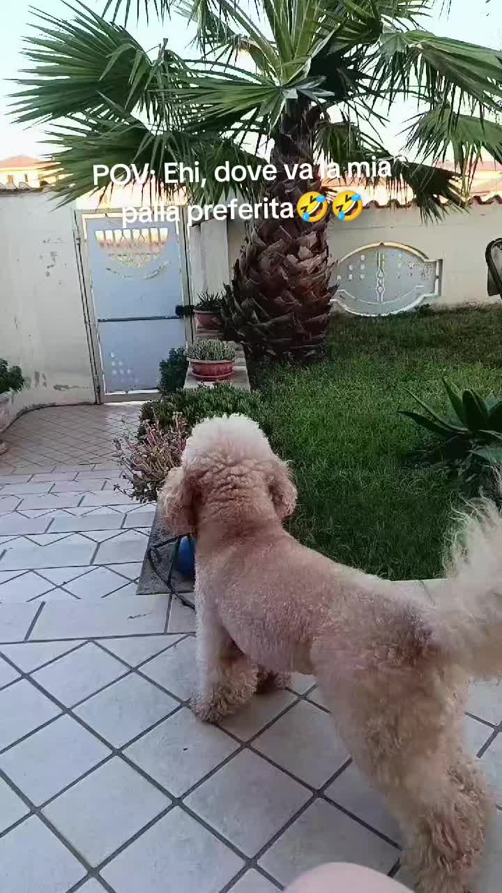 @Momenti Deliziosi