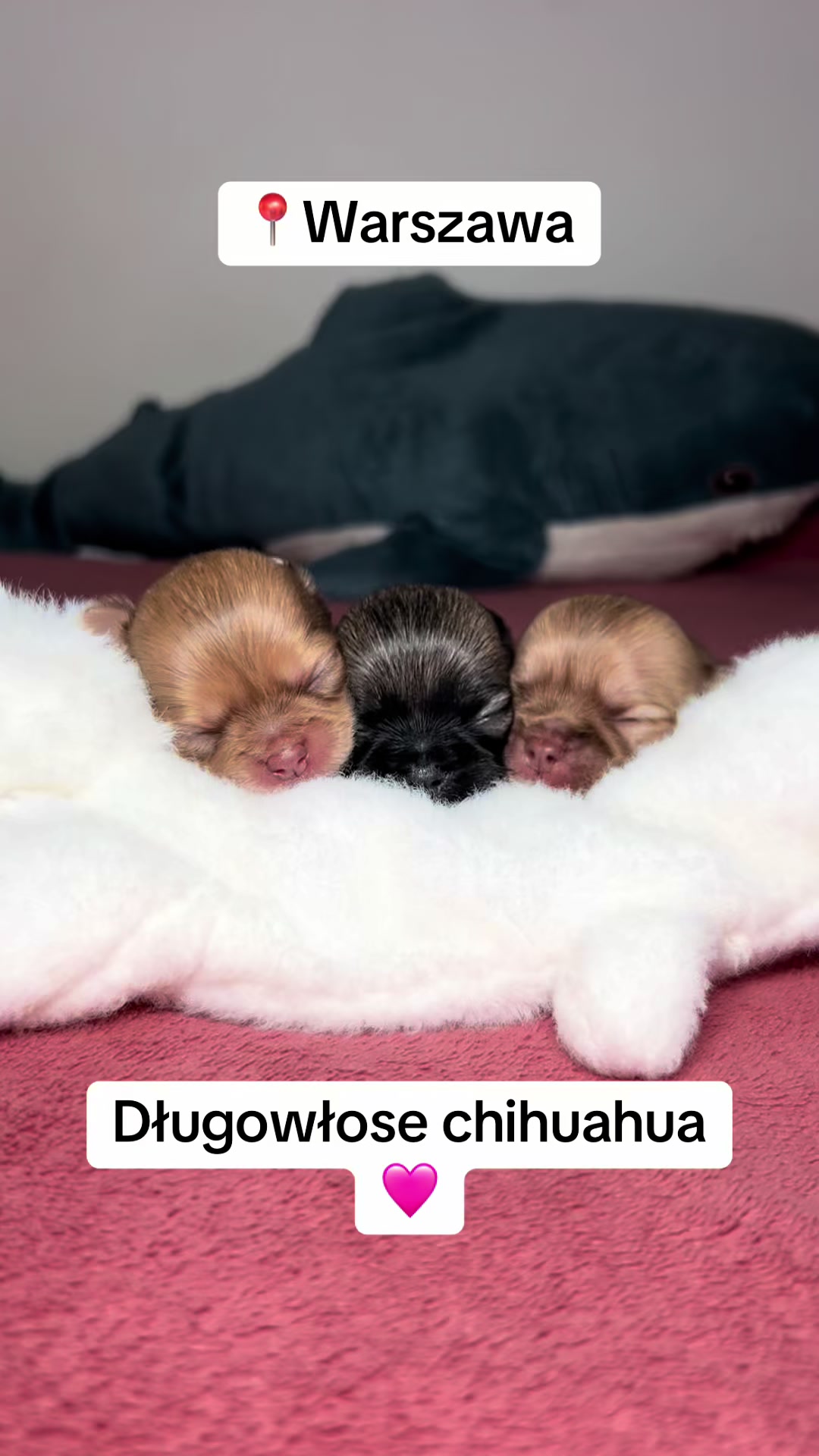 @Ulybki_lilu