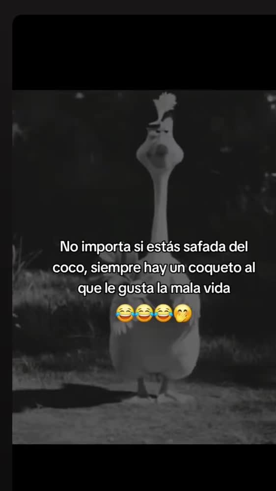 @Dinora Maldonado