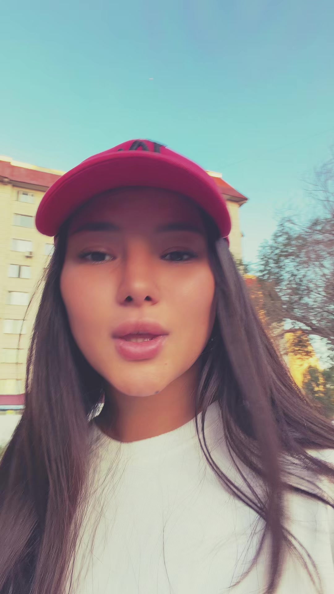 @dianaaaavi