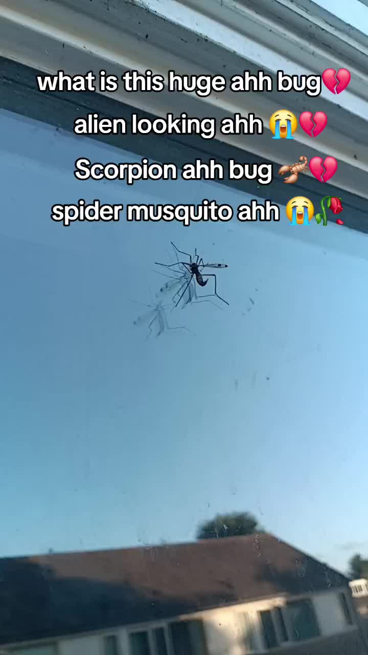 @Spongebob_is_my_son 🧽🌀